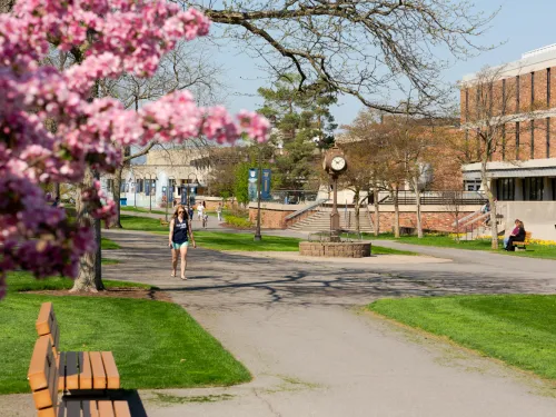 A college student walks across campus, in the foreground, spring buds bloom on a tree.