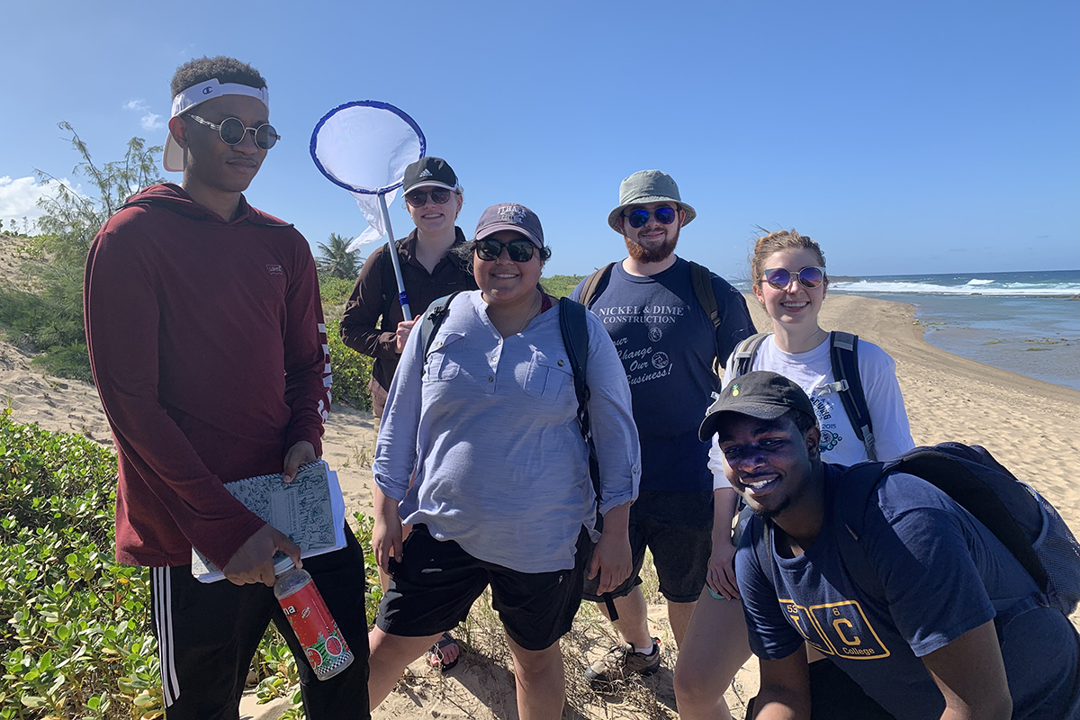 Biology of Beach and Bay: Research Resilience in Puerto Rico | Ithaca  College