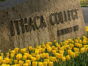 The concrete structure at the main entrance to Ithaca College surrouned by yellow tulips.