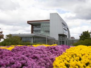 A modern building with purple and yellow flowers in the foreground