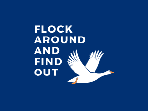 A goose flies and the text "flock around and find out" is to its left.