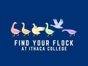 A group of geese walk together and the text below says "Find yout flock at Ithaca College"