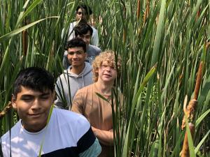 Summer students on a field trip in nature.