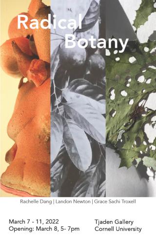 Radical Botany, a 3-person show, Rachelle Dang, Landon Newton, and Grace Sachi Troxell (M.F.A. '21). "These three artists share an interest in vegetal intelligence as well as their systems and moments of intersection with humans."