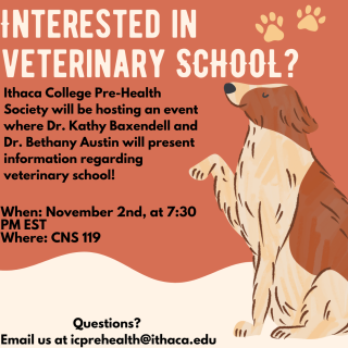 Interested in Veterinary School?