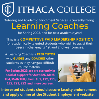 TAES hiring learning coaches