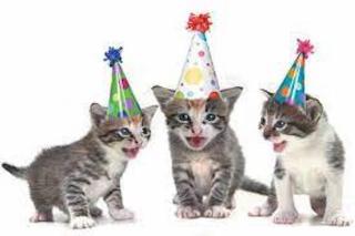 kittens in birthday party hats