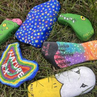 Nature Rx painted rocks