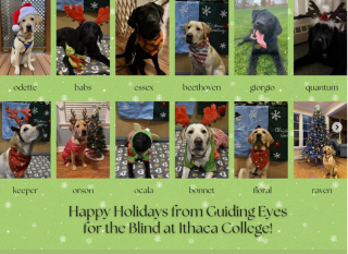Happy Holidays from Guiding Eyes for the Blind at Ithaca College (image from their Instagram)