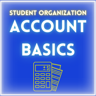 Account Basics in neon white