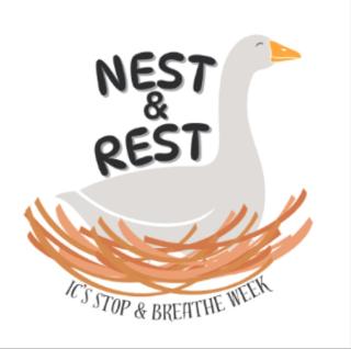 Nest &🪺  Rest