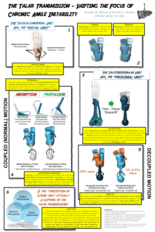 The Talar Transmission--Shifting the Focus of Chronic Ankle Instability