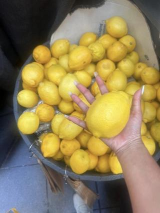 lemon