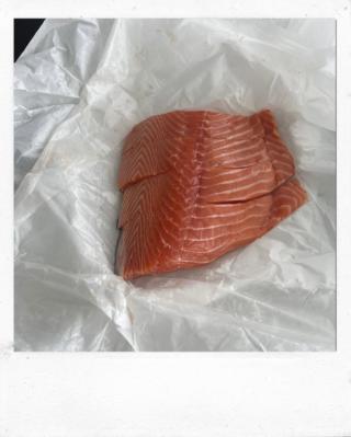 salmon