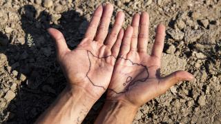 Hands, palm up, connected along the pinkie sides like a book splayed open, on a background of dry rubbeled-earth with a few delicate desert plants behind the hands. The palms of the hands have an adjoining tattoo which seems to be the outline of a map of a particular place. The image evokes a sense of toughness and vulnerability & seems to express connections between this person, the land, and the viewer. 