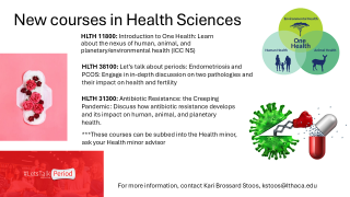 Health Courses Flier